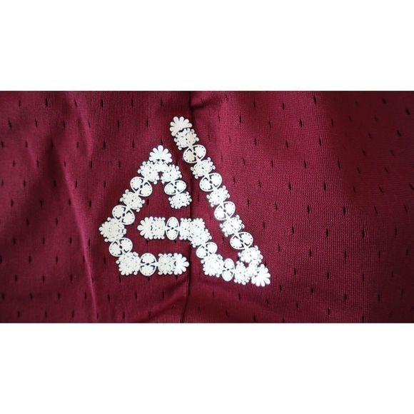 Nike DQ5656 638 Men's Sz Large Burgundy Dri-Fit Mesh 6" Giannis Shorts $55 - Picture 6 of 8